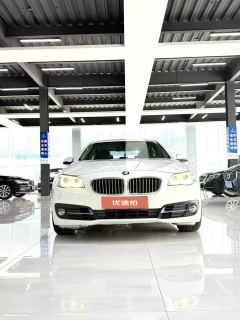2015 BMW 5 Series 2014 2.0T AT 528LiLeading #6