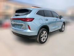 2023 Haval H6 PHEV 2023 1.5T AT DHT-PHEV 55KM YuexingEdition #5