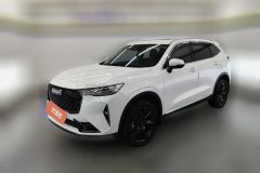 2021 Haval H6 2021 2.0T AT No.3generation2WDMax #1
