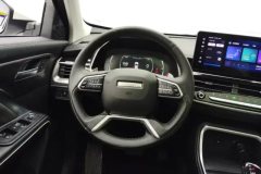 2021 Haval H6 2021 1.5T AT China tideChampion #15