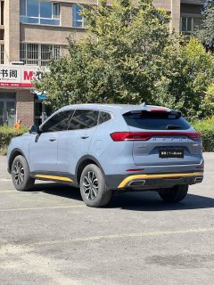 2023 Haval H6 2023 China tideEdition 1.5T ATUrbanEdition #9