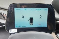 2025 BYD Dolphin 2024 Glory 420km Fashion #14