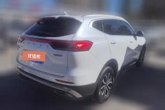 2022 Haval H6 2021 1.5T AT China tideUrbanEdition #3