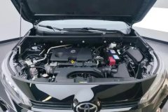 2021 Toyota Wildlander 2020 2.0 AT Luxury 4WD #10