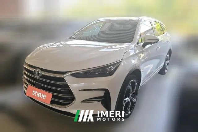 2023 BYD Tang PHEV 2021 1.5T AT DM-i 112KM Honor
