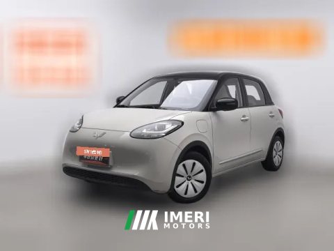 2023 Wuling Motors Wuling Bingo 2023 333KM Enjoy
