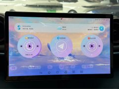 2022 BYD Dolphin 2021 405km Fashion #9