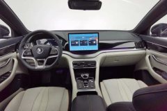 2022 BYD Song Plus PHEV 2021 1.5L AT DM-i 51KM Honor #14