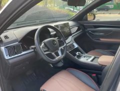 2020 BYD Song Plus 2020 1.5T AT Flagship #2