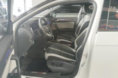 2023 Volkswagen T-Roc 2023 1.5T AT 300TSI DSG2WDChen GuangEdition #9