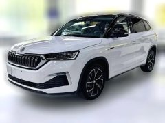 2023 Škoda Kamiq 2022 GT 1.5L AT EnjoyEdition #1