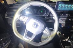 2020 Chang'an Ruicheng CC 2021 1.5T AT Blue WhaleEditionLuxury #15