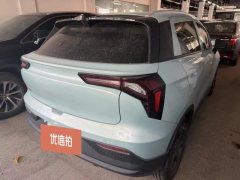 2022 Geometry E Firefly 2022 401KM Exquisite Tiger 4Seat #7