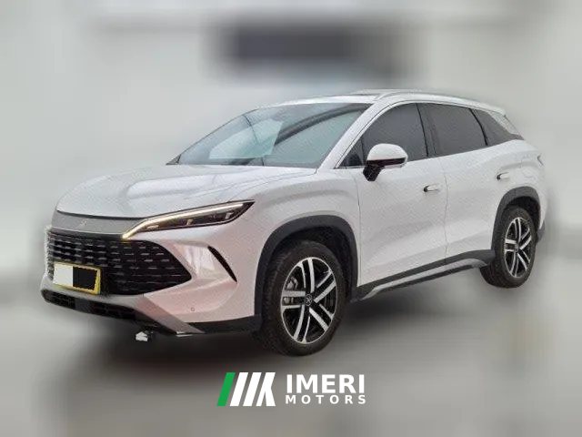 2024 BYD Song L DM-i 2024 1.5L AT 112km Surpass