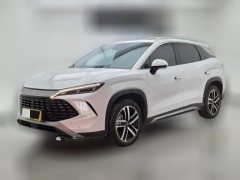 2024 BYD Song L DM-i 2024 1.5L AT 112km Surpass #1