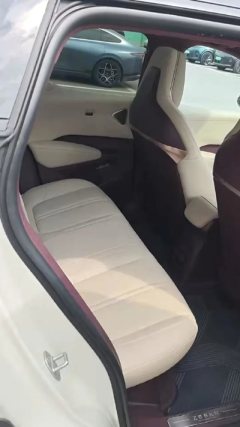 2025 Zeekr X 2025 5Seat RWDEdition #6