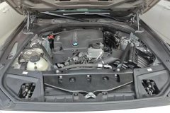 2017 BMW 5 Series 2017 2.0T AT 525LiLeading #10