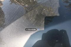 Engine Hood