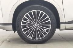 2025 Dongfeng Fengshen Dongfeng Fengshen L8 2025 185KMdreamEdition #6