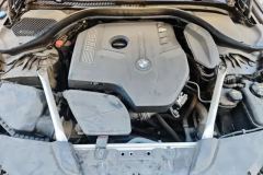 2020 BMW 5 Series 2020 2.0T AT 530LiExclusiveLuxury Pkg #10