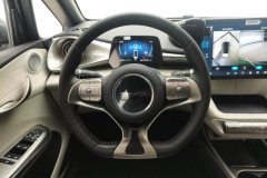 2022 BYD Dolphin 2021 405km Fashion #15