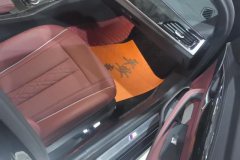 2023 BMW 5 Series 2022 Facelift II 2.0T AT 525Li MSport Pkg #8