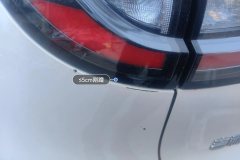 Left Rear Taillight Assembly