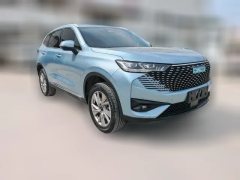 2023 Haval H6 PHEV 2023 1.5T AT DHT-PHEV 55KM YuexingEdition #3
