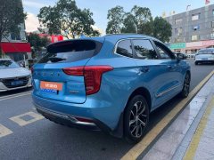 2021 Haval Chulian 2021 1.5T ATLarge3Edition #6