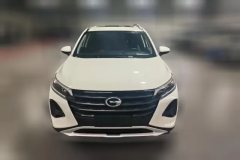 2021 GAC Trumpchi Trumpchi GS4 2021 1.5T AT 270TEliteTech #2