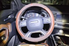 2017 Haval H6 2017 2.0T AT Red LabelSmart FashionFWD #15