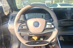 2024 BYD Tang PHEV 2025 Smart Drive DM-i 115KM Honor #15