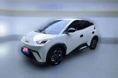 2024 BYD Seagull 2025 305km freeEdition #1