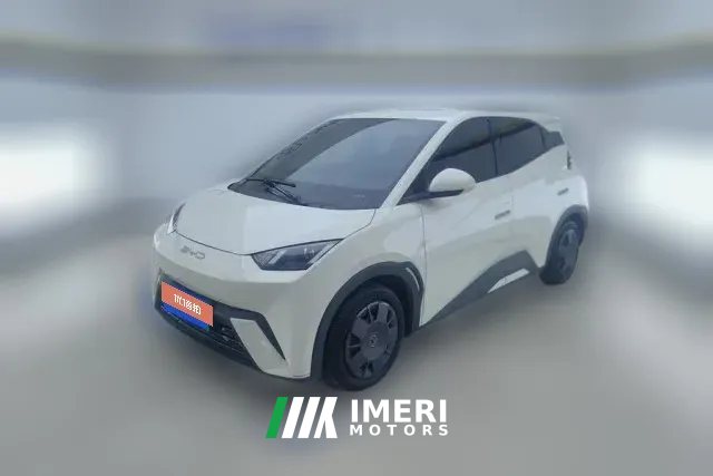 2024 BYD Seagull 2023 vitalityEdition