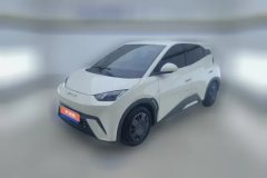 2024 BYD Seagull 2023 vitalityEdition #1