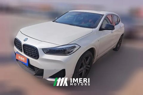 2024 BMW X2 2023 2.0T AT sDrive25i MOff-road package