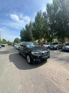 2018 BMW X5(Imported)(Imported) 2018 2.0T AT 28i (Imported) #8