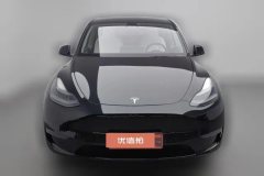 2021 Tesla Model Y 2021 Long Rangeall wheel driveEdition #3