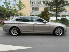 2015 BMW 5 Series 2014 2.0T AT 525LiLuxuryDesign Pkg #10
