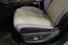 2022 BYD Dolphin 2021 401km knightEdition #21