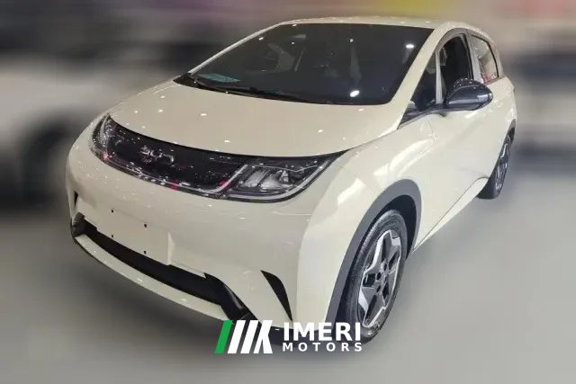 2024 BYD Dolphin 2025 420km vitalityEdition