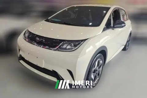 2024 BYD Dolphin 2025 420km vitalityEdition