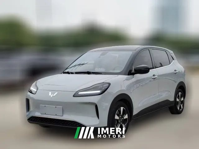 2024 Wuling Motors Wuling Bingo Plus 2024 510km Flagship 4SeatEdition