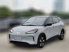 2024 Wuling Motors Wuling Bingo Plus 2024 510km Flagship 4SeatEdition #1