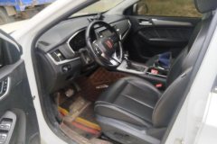 2019 Roewe RX5 2019 1.5T AT 20T 4GConnectedPlatinumFWD #9