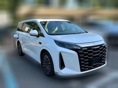 2025 BYD Xia 2025 DM-i 1.5T AT 180km Surpass #2