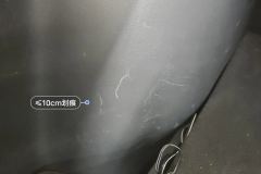 Trunk Left Trim