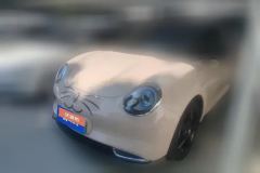 2024 Ora Good Cat 2024 401km Honor 135kW #1