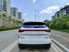 2020 Haval H6 2021 1.5T AT No.3generation2WDMax #5