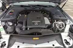 2016 Mercedes-Benz E-Class 2016 2.0T AT E300LSportLuxury #10